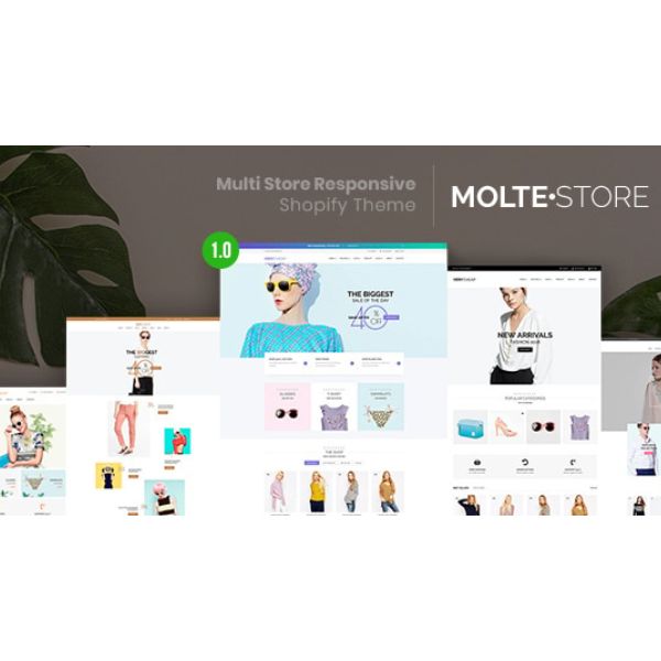 MolteStore - Multi Store Responsive Shopify Theme