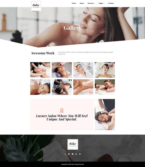 Felix - Spa Elementor Template Kit - Image 4