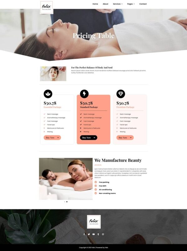 Felix - Spa Elementor Template Kit - Image 5